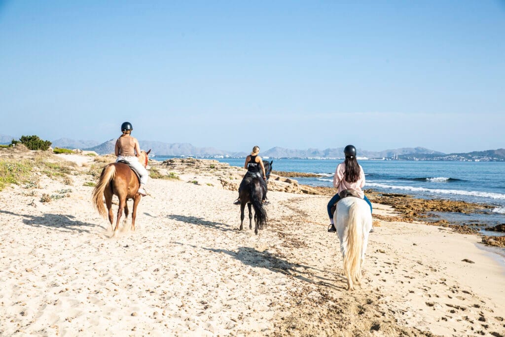 Horse riding in Alcudia