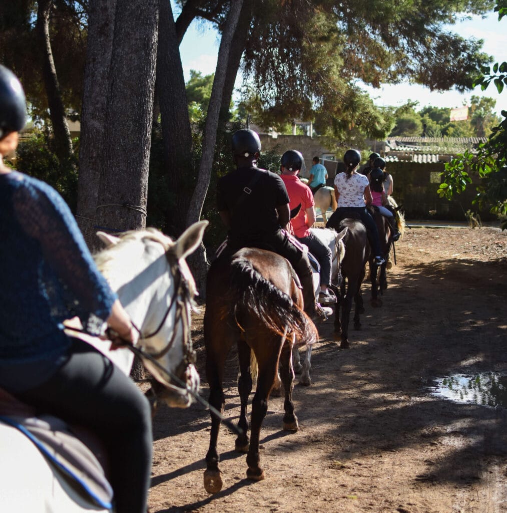 Horseback Riding Mallorca