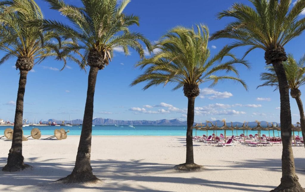 alcudia beach