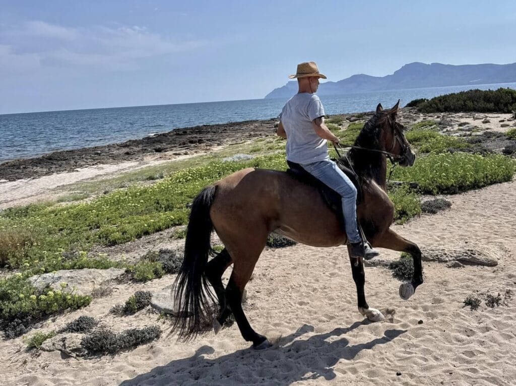 Rider enjoying horse riding in Alcudia by the water.
