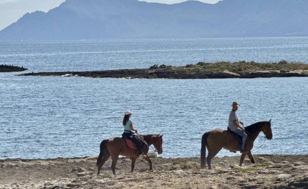 horse riding in alcudia