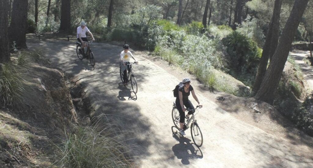 Cycling Adventures Around Alcudia